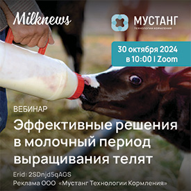 Мустанг Телята 30окт